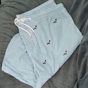 Staple ALL OVER PIGEON Teal White Striped Pigeon Embroidery Men's Shorts
